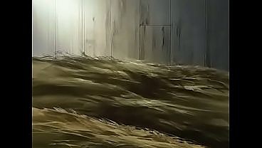 Hentai video 28 мин.